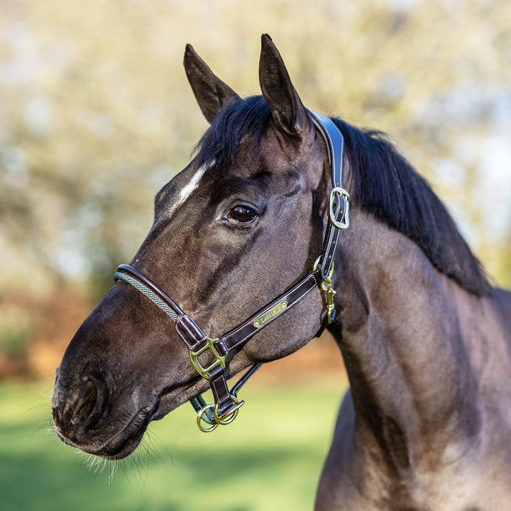 LeMieux Rope Control Headcollar