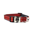 Doodlebone Padded Dog Collar