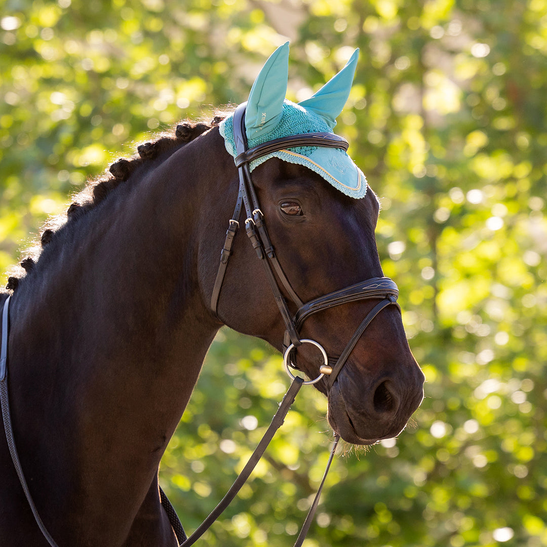 LeMieux Classic Fly Hood - Lagoon