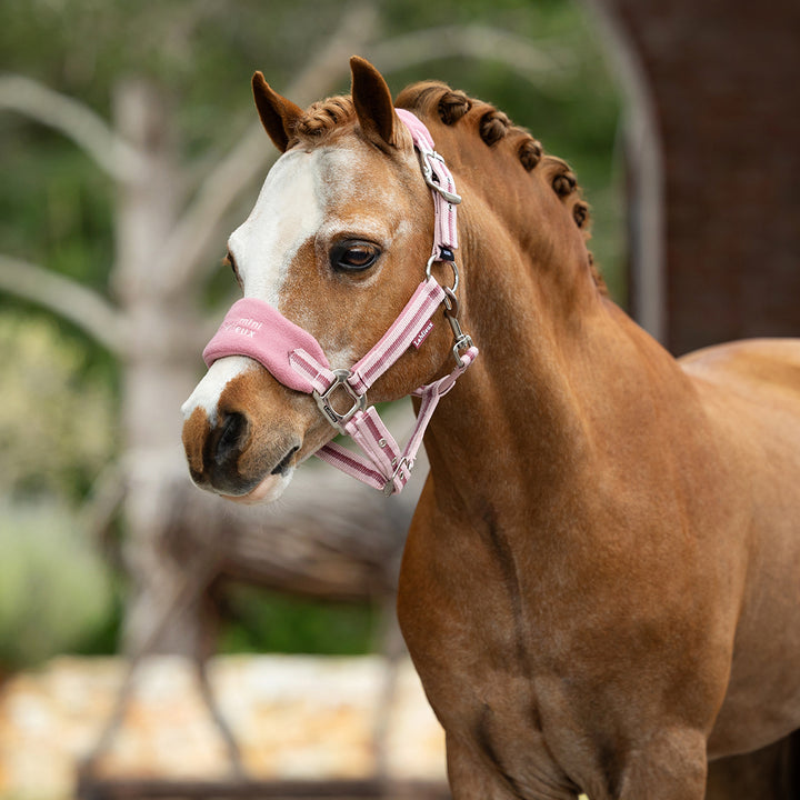 LeMieux Mini Vogue Headcollar & Leadrope - Peony