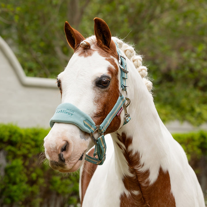 LeMieux Mini Vogue Headcollar & Leadrope - Aqua