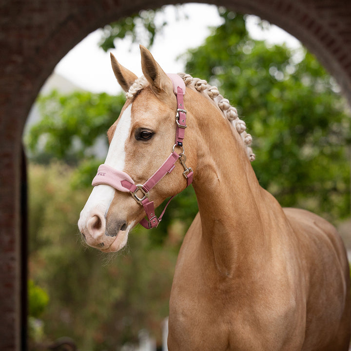 LeMieux Vogue Headcollar & Leadrope - Blossom