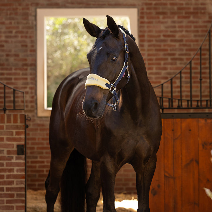 LeMieux Vogue Headcollar & Leadrope - Mimosa