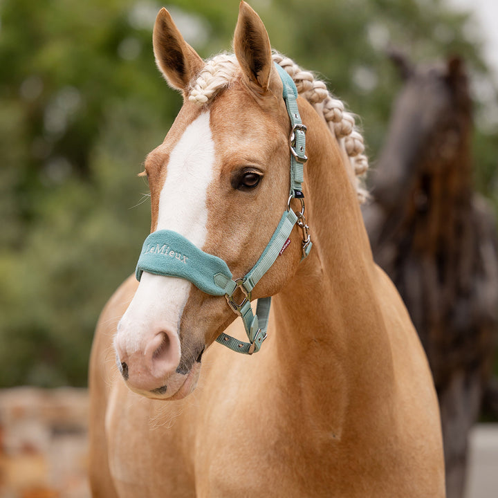 LeMieux Vogue Headcollar & Leadrope - Lagoon