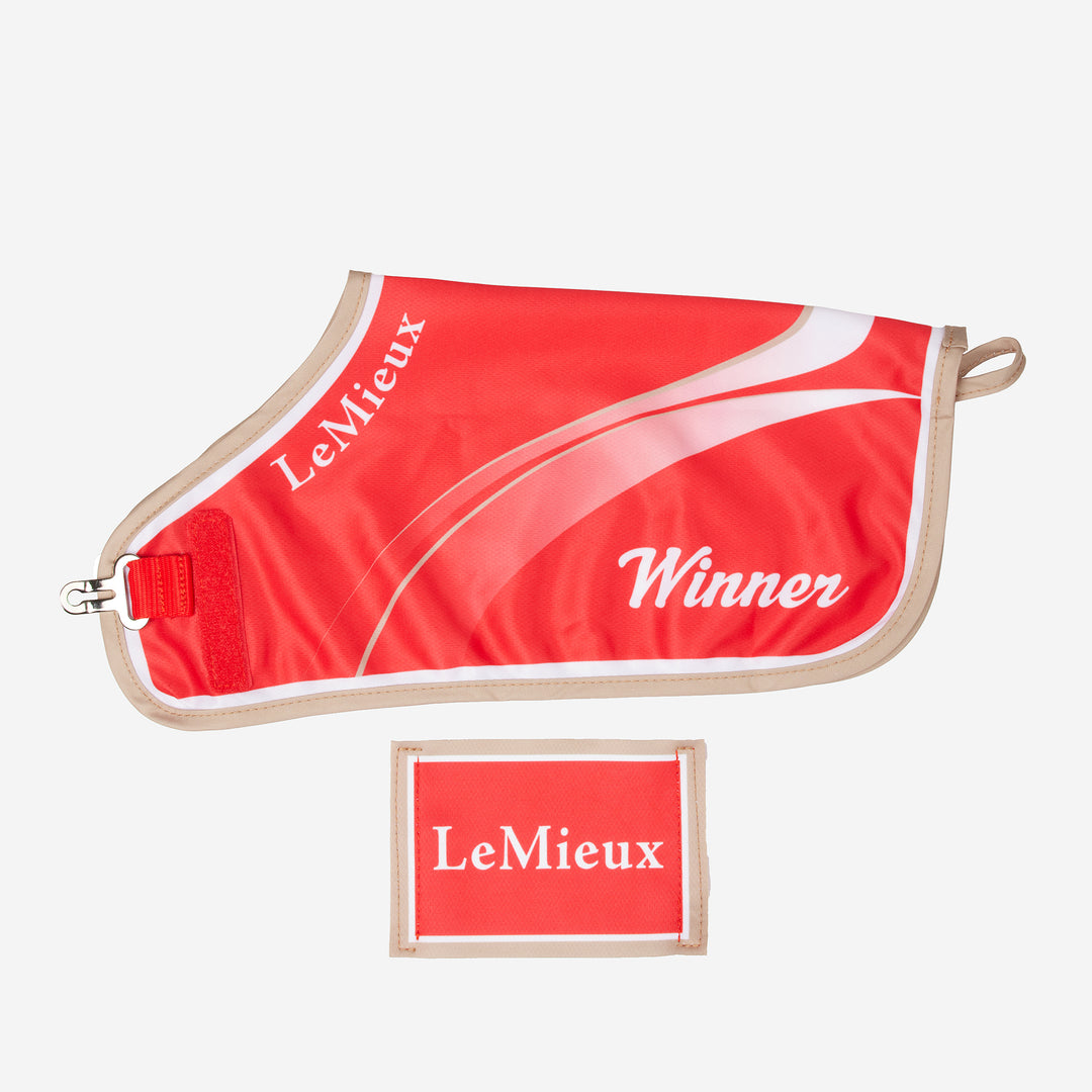 LeMieux Toy Pony Champions Rug