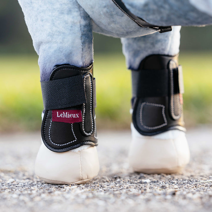 LeMieux Toy Pony Capella Boots