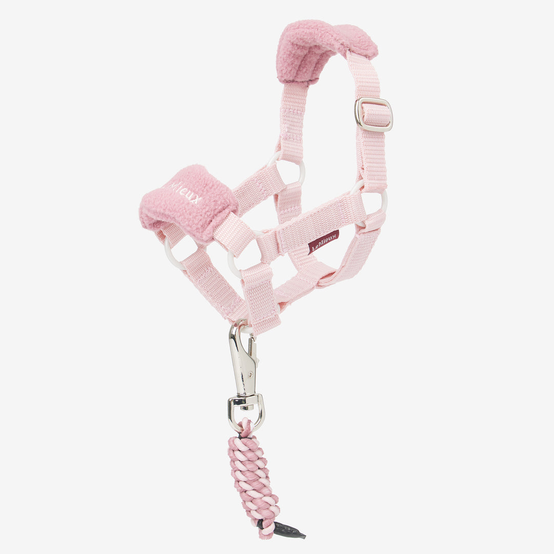 LeMieux Toy Pony Vogue Headcollar & Leadrope - Blossom