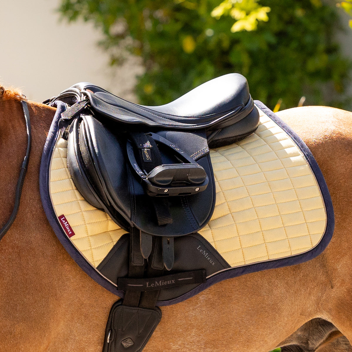 Horse tack sites discount