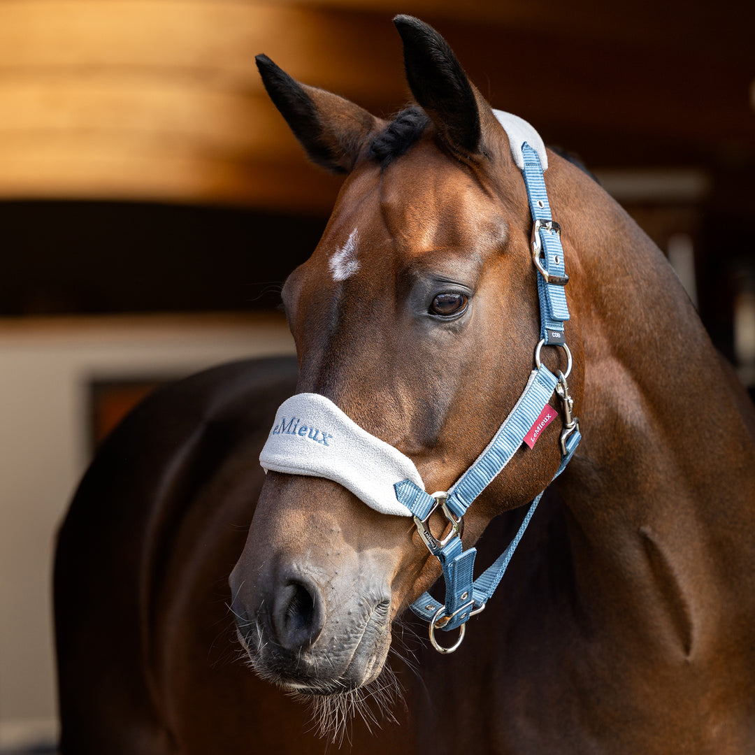 LeMieux Vogue Headcollar & Leadrope - Ice Blue