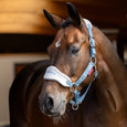 LeMieux Vogue Headcollar & Leadrope Cranberry