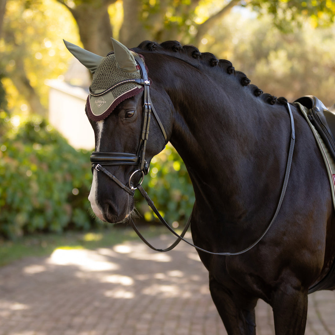 LeMieux Classic Fly Hood Rosemary