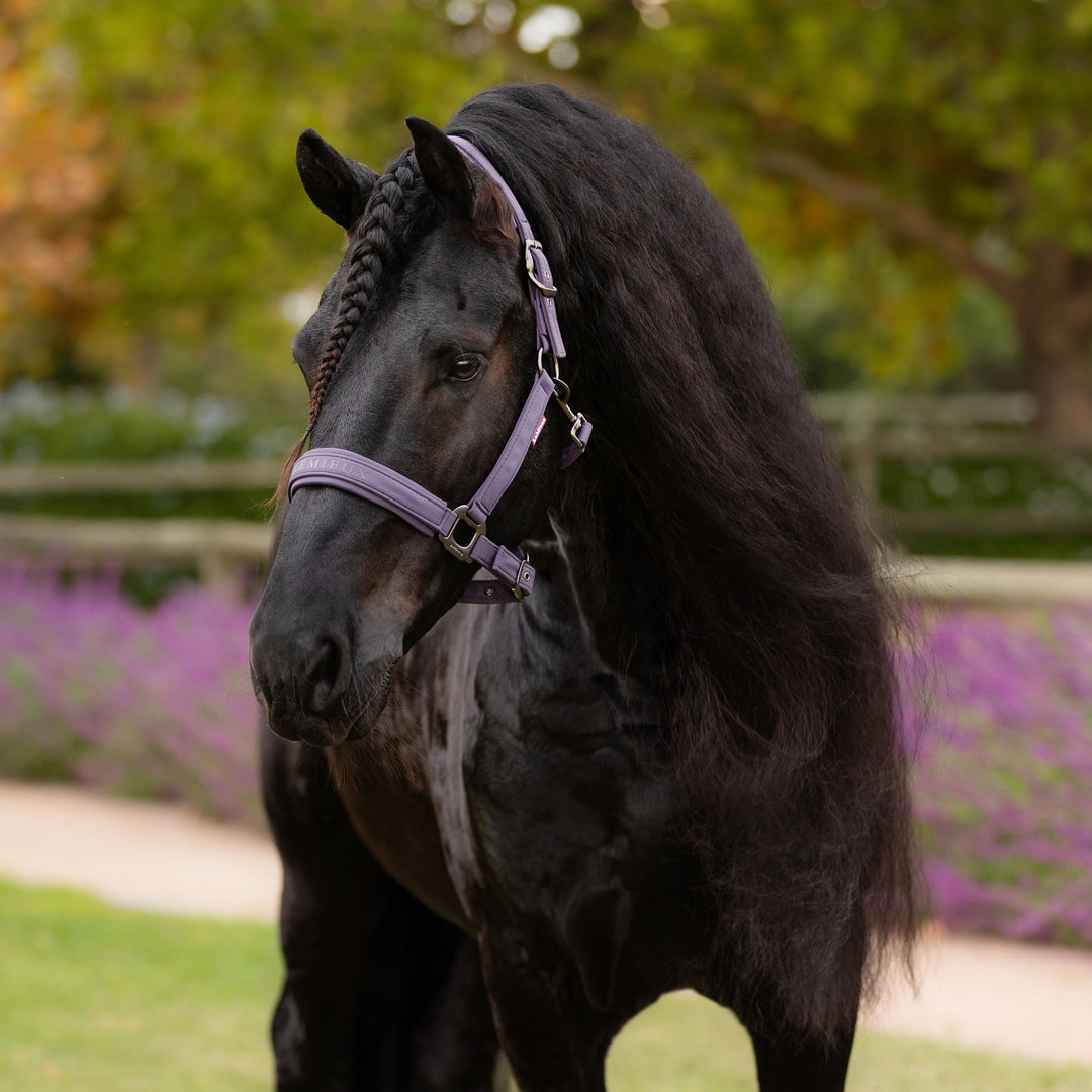 LeMieux Essence Headcollar - Juniper