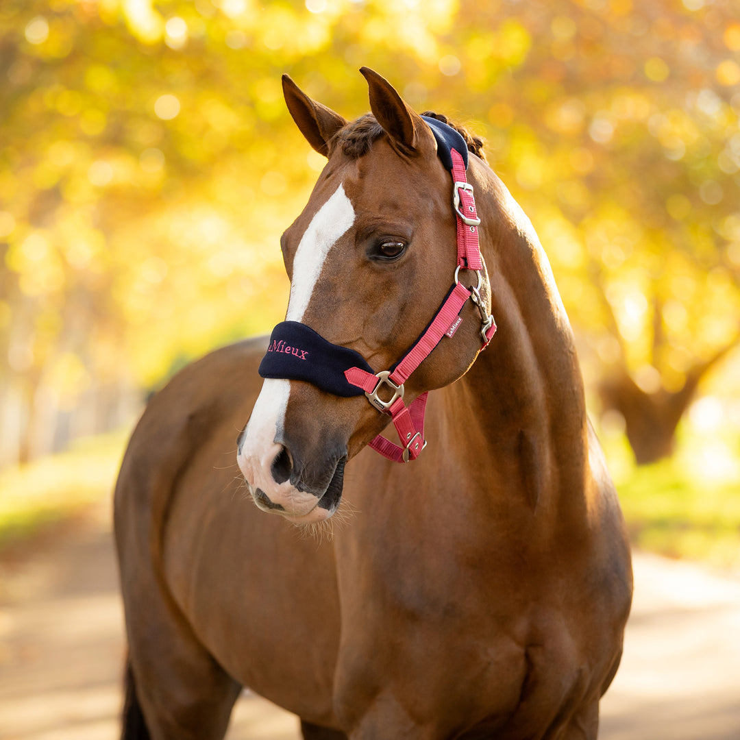 LeMieux Vogue Headcollar & Leadrope Cranberry