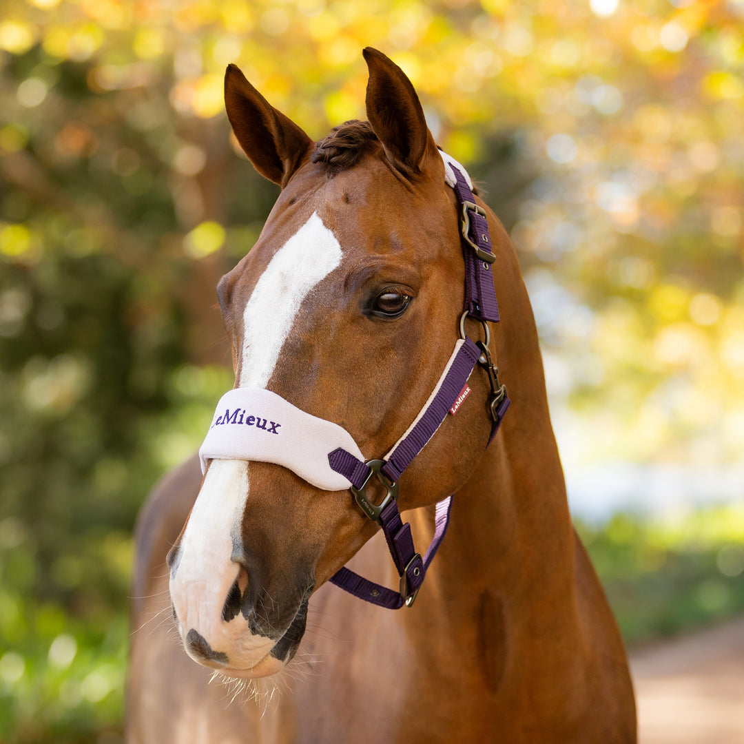 LeMieux Vogue Headcollar & Leadrope Juniper
