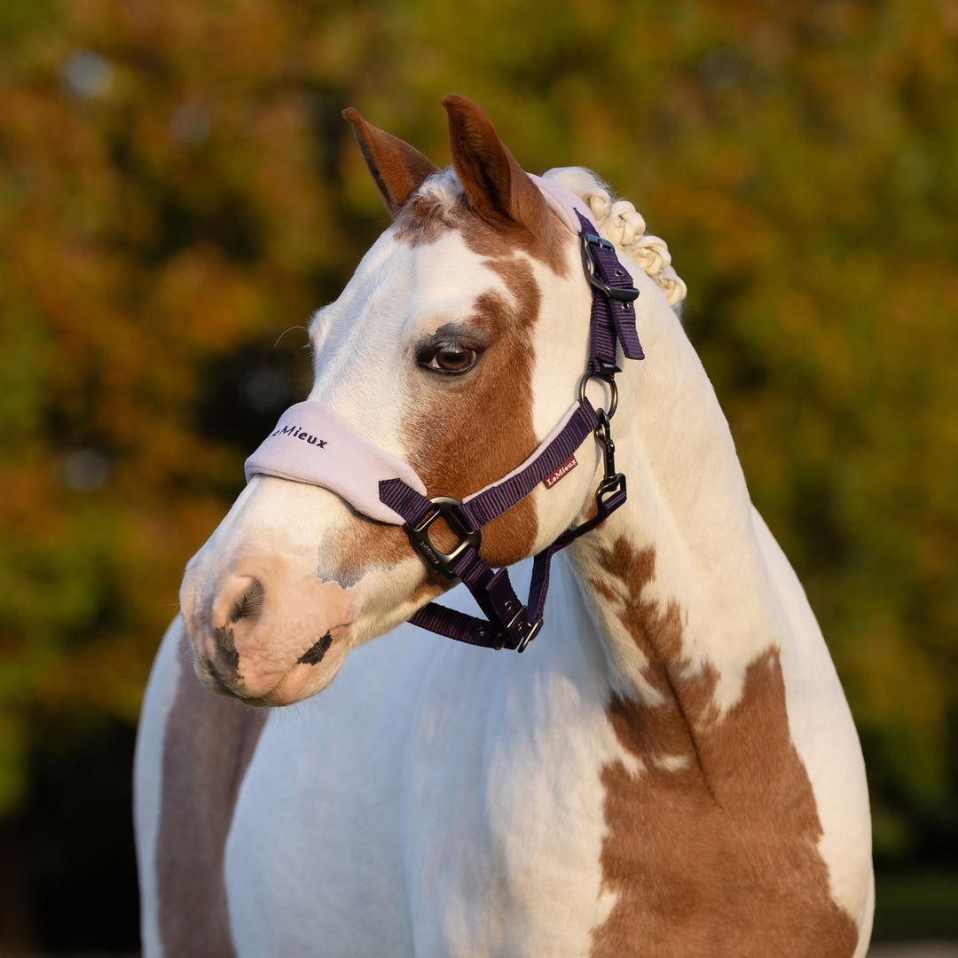 LeMieux Mini Vogue Headcollar & Leadrope - Juniper
