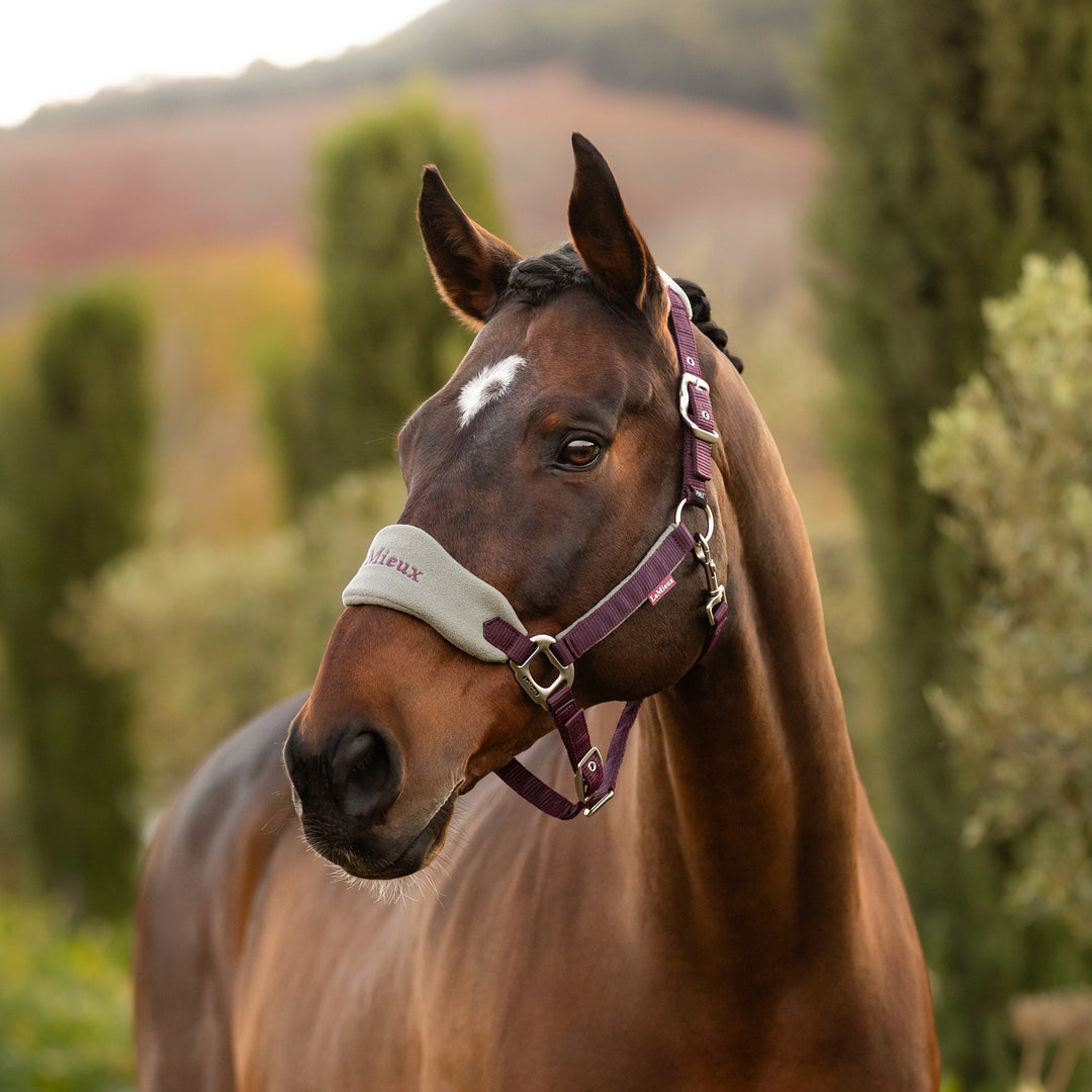 LeMieux Vogue Headcollar & Leadrope Damson