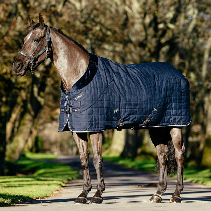 LeMieux Kudos Luxe Lined Standard Stable Rug