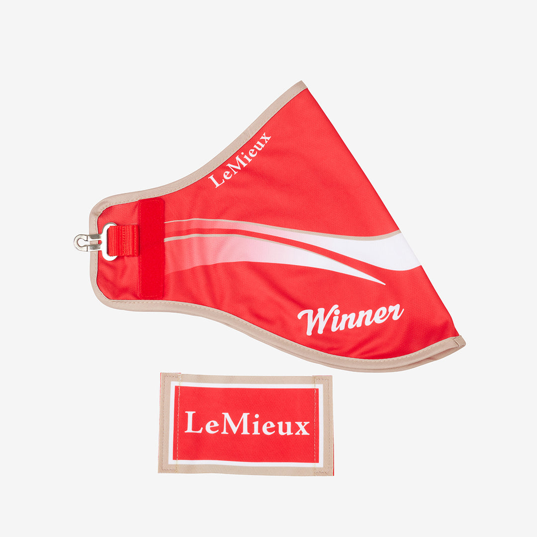 LeMieux Hobby Horse Winners Rug Red