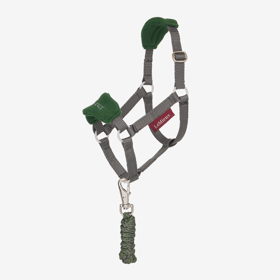 LeMieux Hobby Horse Vogue Headcollar & Leadrope