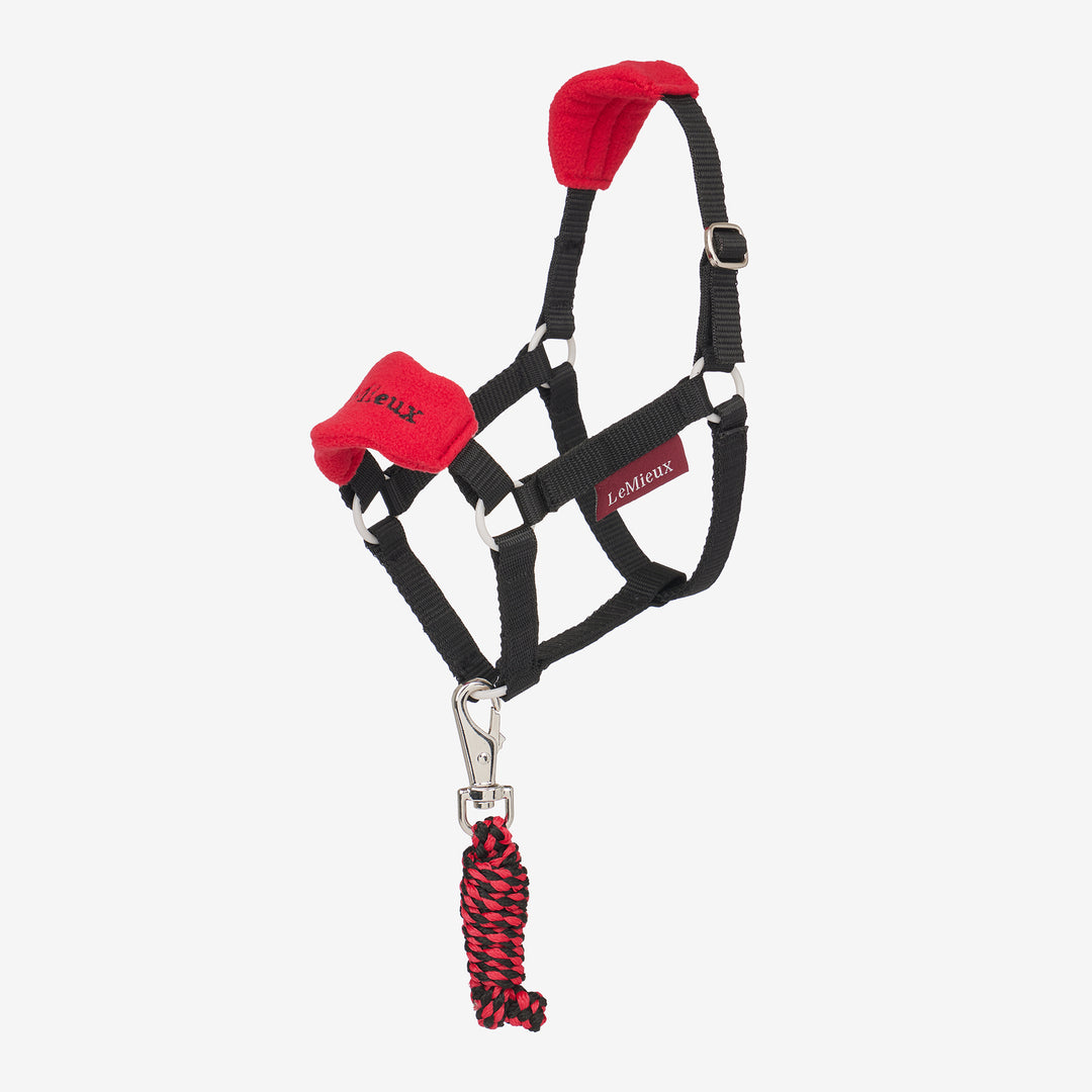 LeMieux Hobby Horse Vogue Headcollar & Leadrope