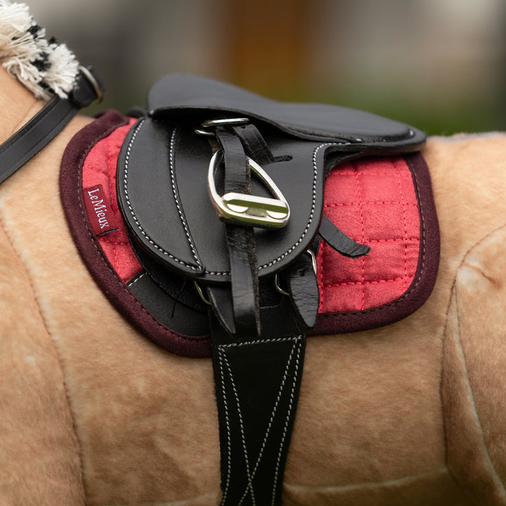 LeMieux Toy Pony Pad - Cranberry