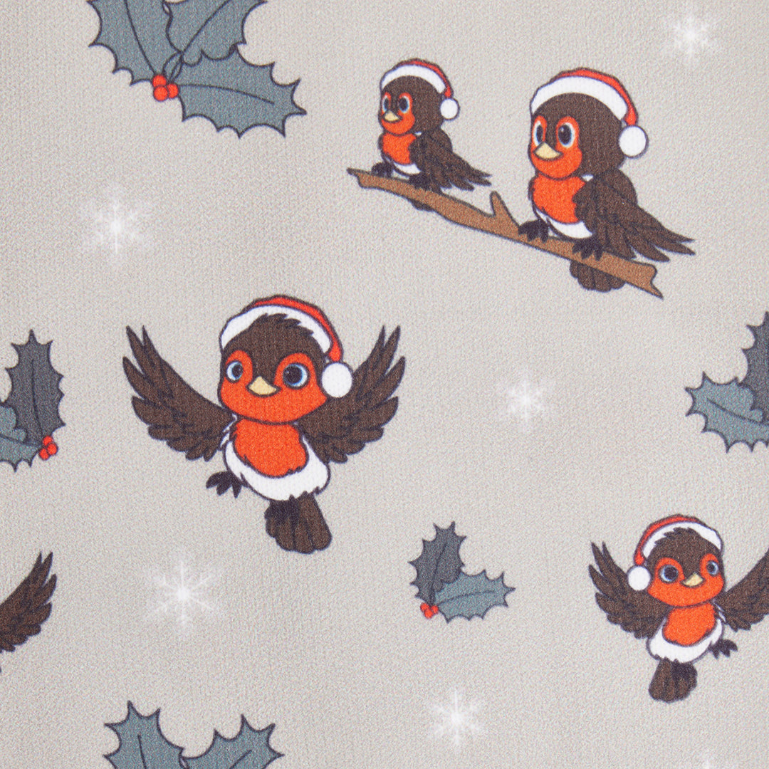 LeMieux Ladies Xmas Robins Footsie Socks