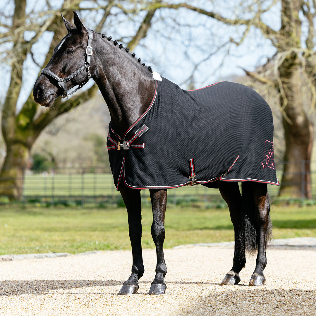 LeMieux Kudos Bamboo Standard Cooler