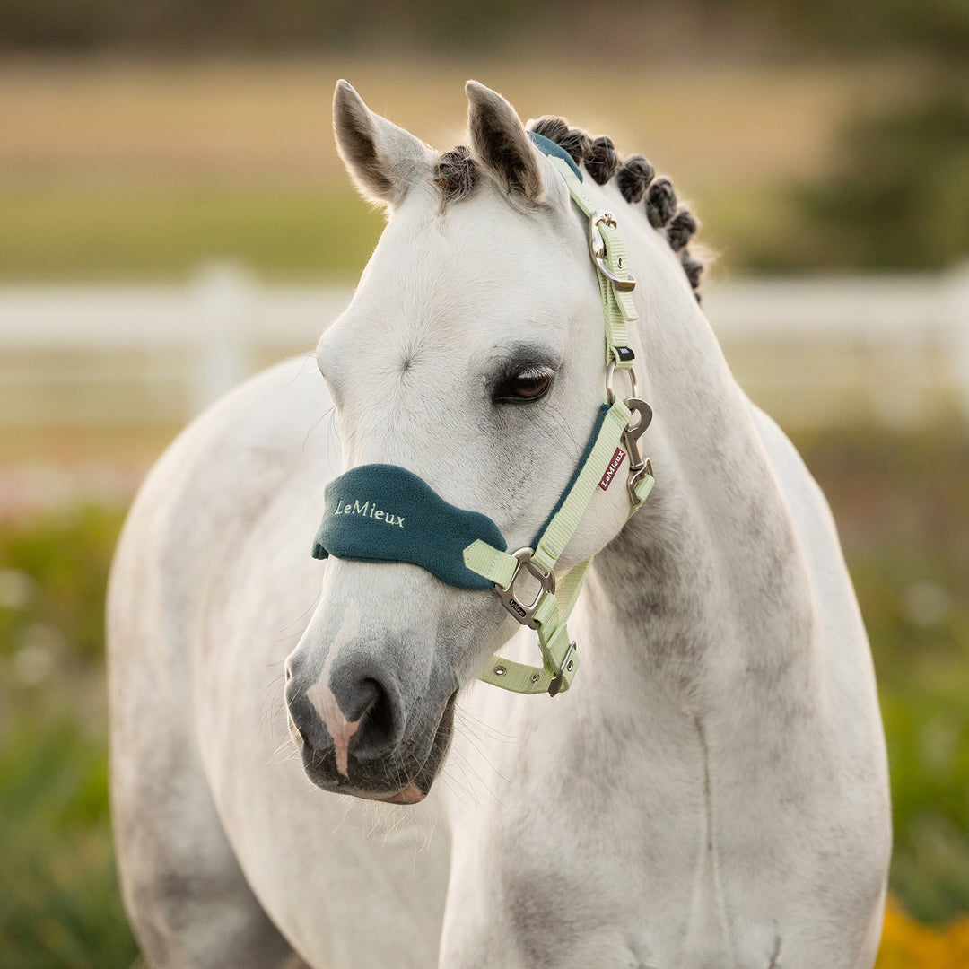 LeMieux Mini Vogue Headcollar & Leadrope - Macaron