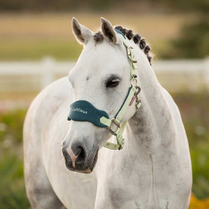 LeMieux Mini Vogue Headcollar & Leadrope - Macaron