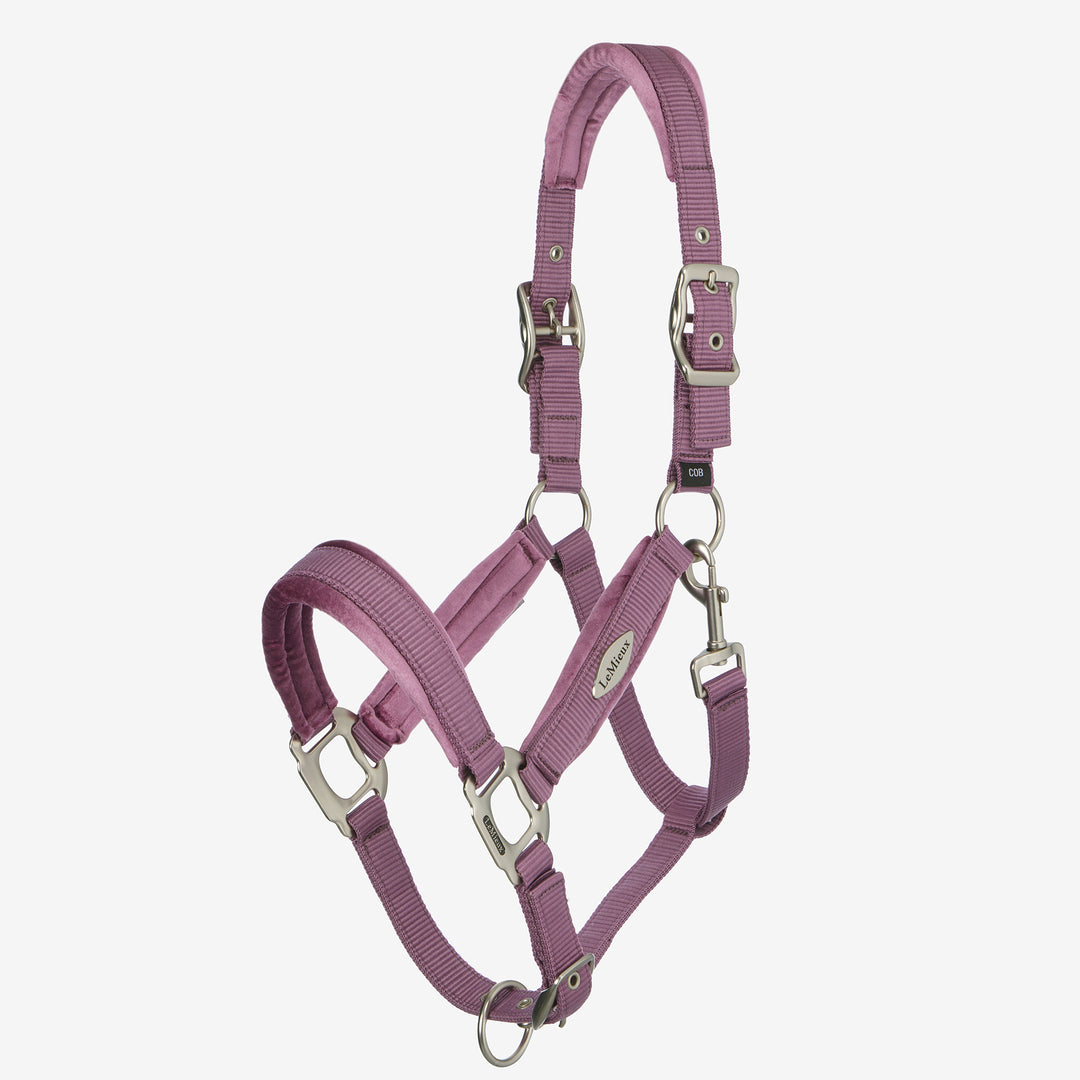 LeMieux Versailles Headcollar - Mallow