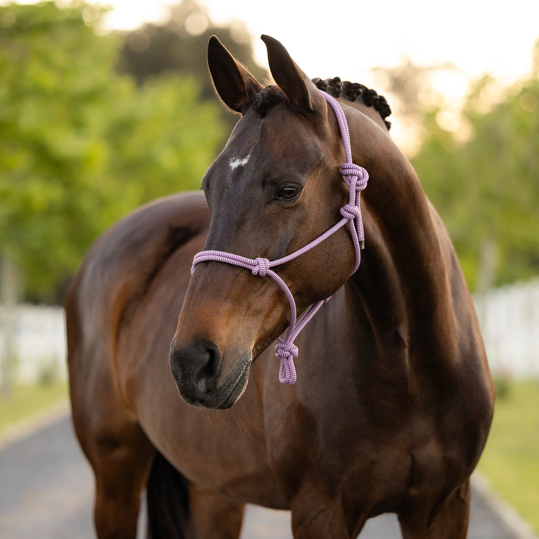LeMieux Rope Halter - Fondant
