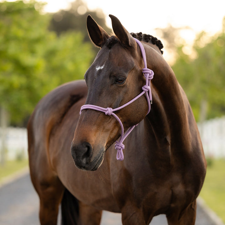 LeMieux Rope Halter - Fondant