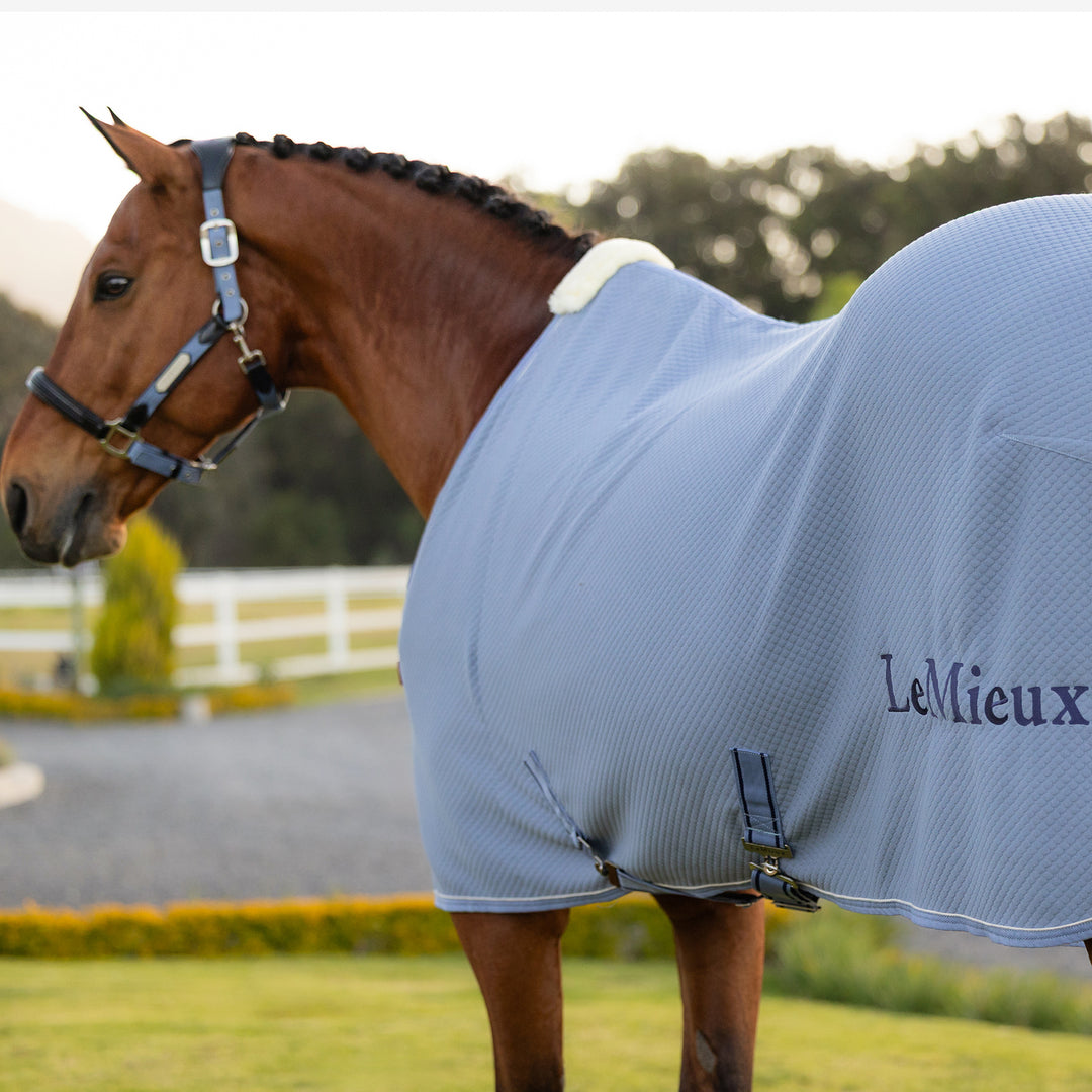 LeMieux Kudos Bamboo Cooler - Powder Blue