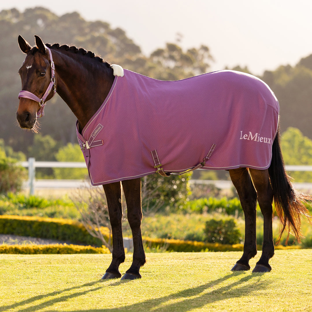 LeMieux Kudos Bamboo Cooler - Mallow