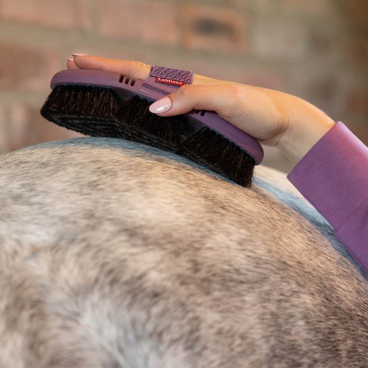 LeMieux Flexi Horse Hair Body Brush - Powder Blue