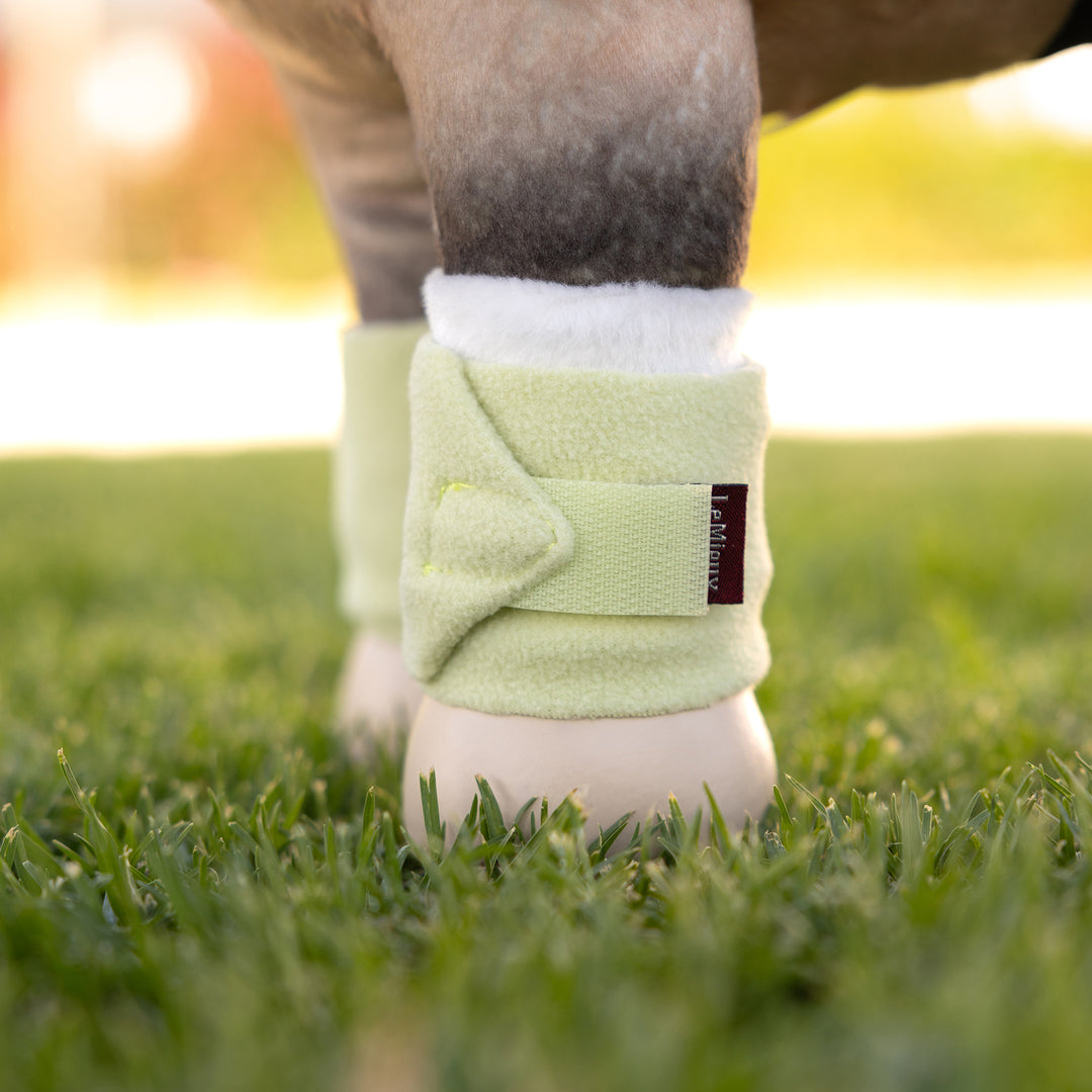 LeMieux Toy Pony Bandages - Macaron