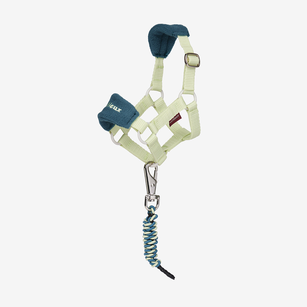 LeMieux Toy Pony Vogue Headcollar & Leadrope - Macaron
