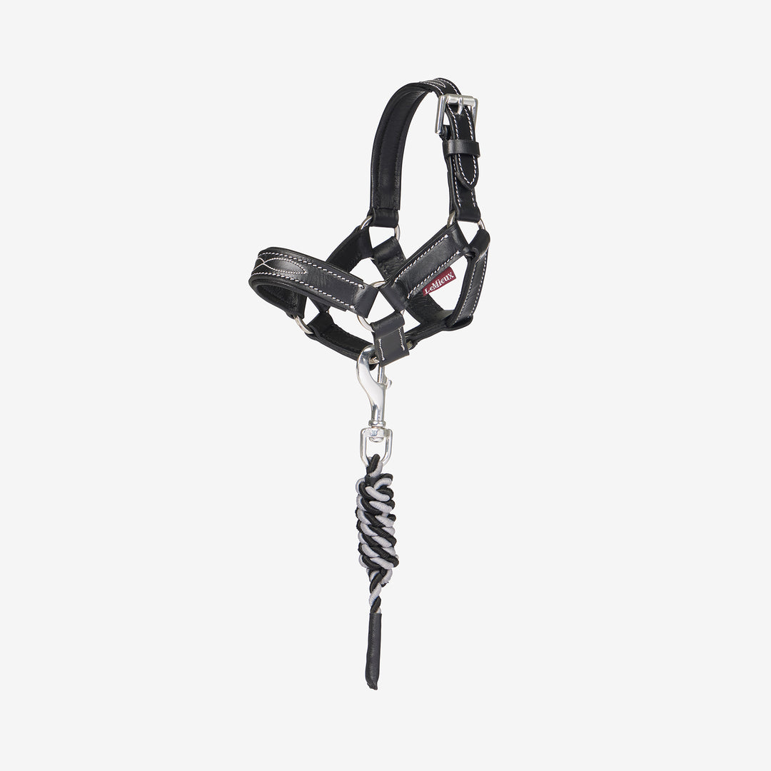LeMieux Toy Pony Leather Headcollar & Leadrope - Black