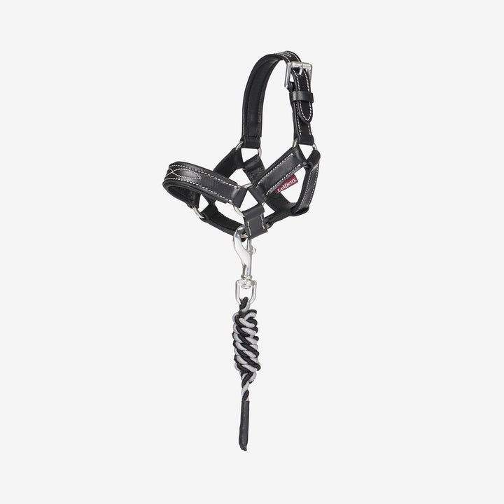 LeMieux Toy Pony Leather Headcollar & Leadrope - Black