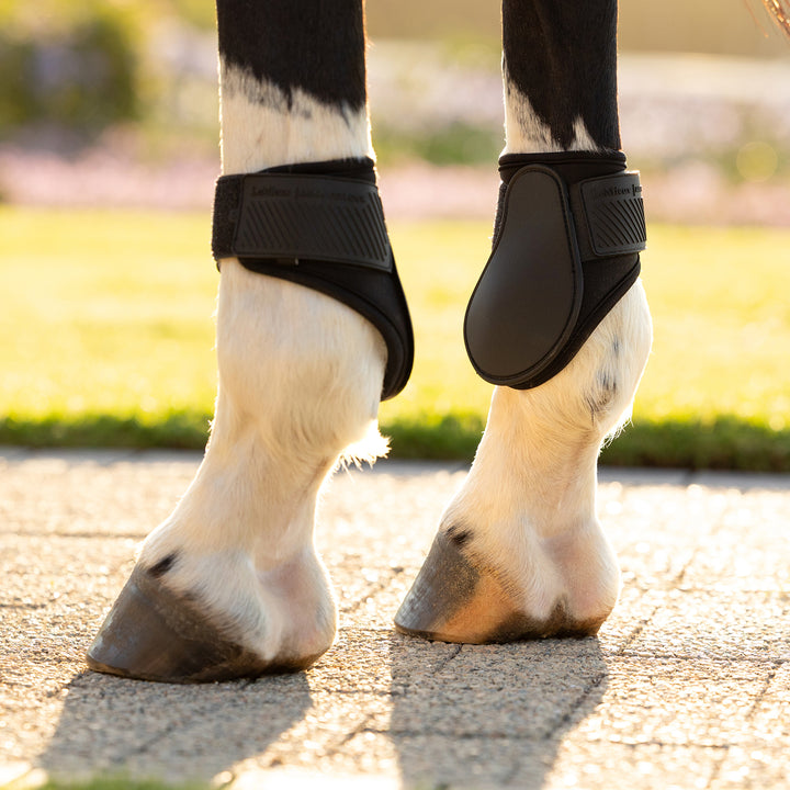 LeMieux Arika Fetlock Boot - Black