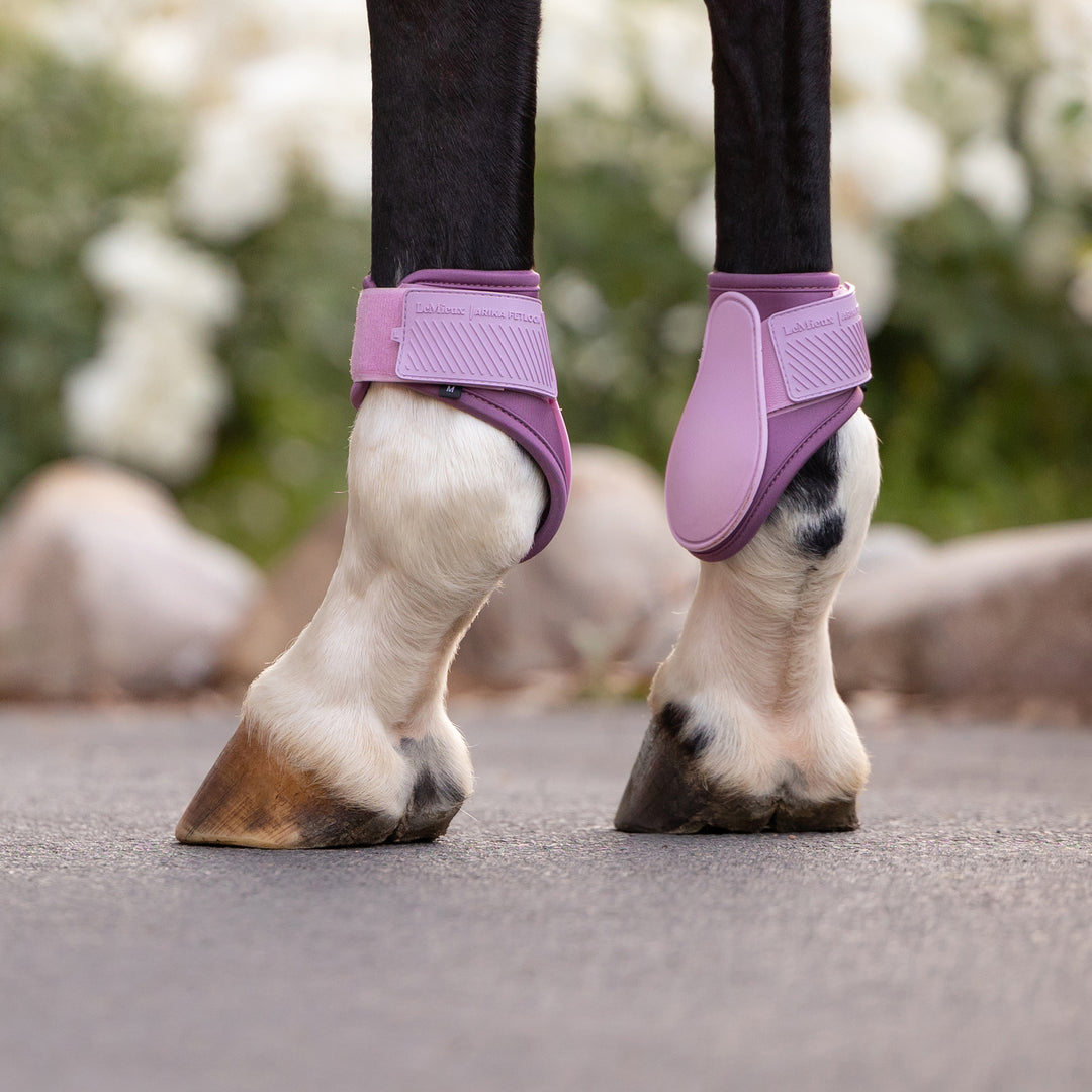 LeMieux Arika Fetlock Boot - Fondant