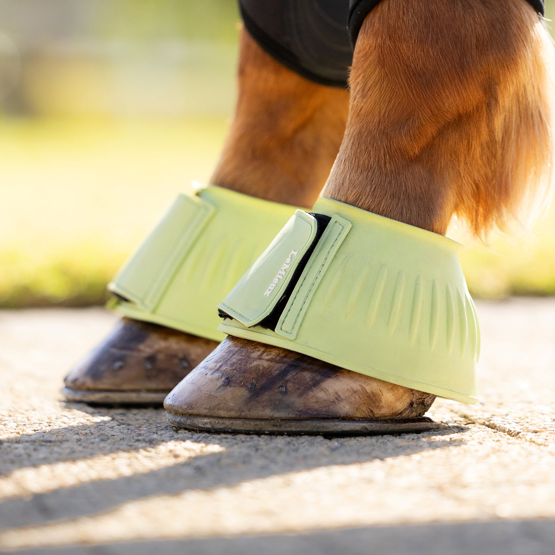 LeMieux Rubber Bell Boots - Macaron - Macaron | Millbry Hill