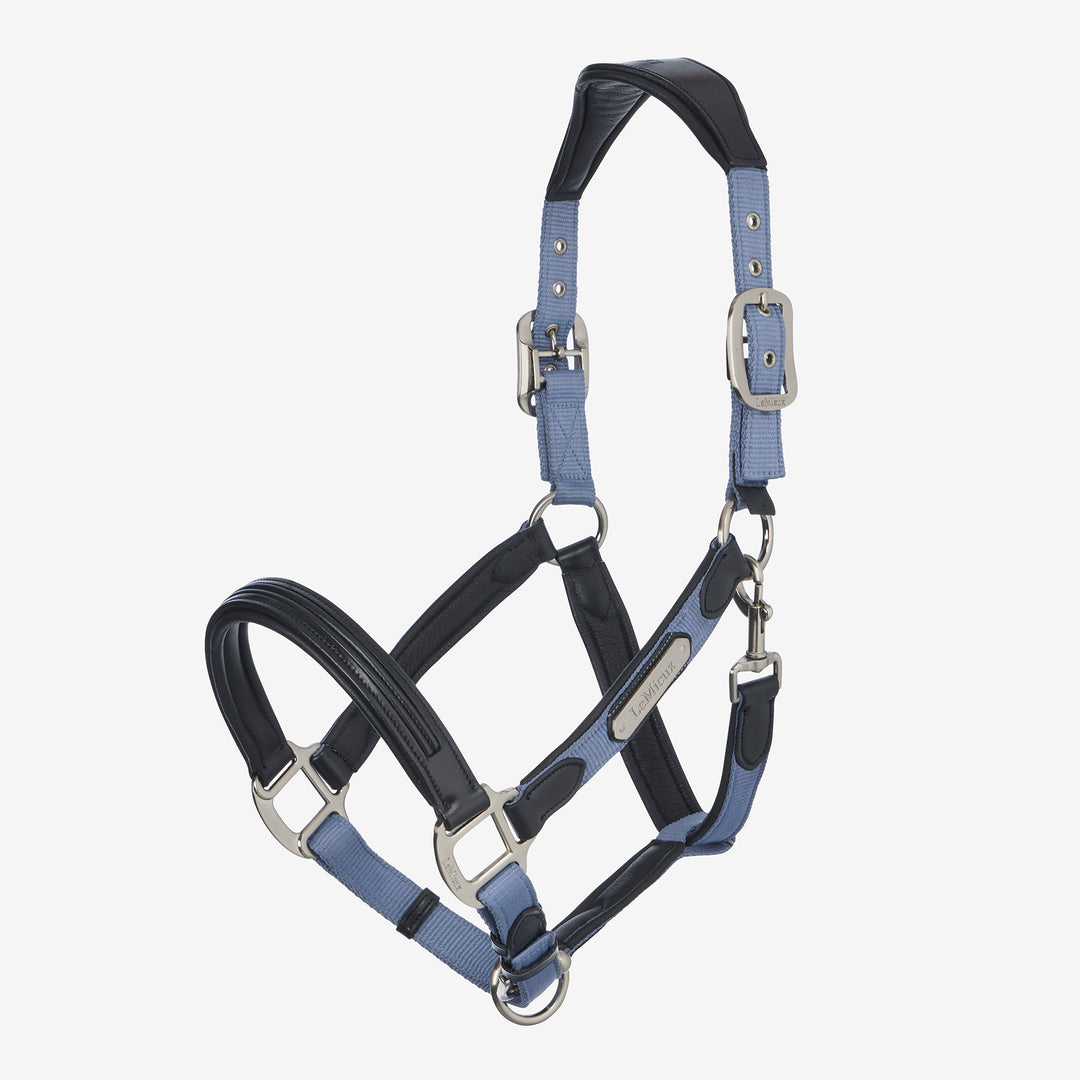LeMieux Capella Headcollar - Powder Blue