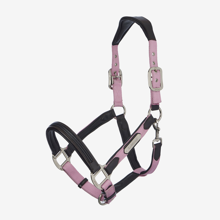LeMieux Capella Headcollar - Fondant