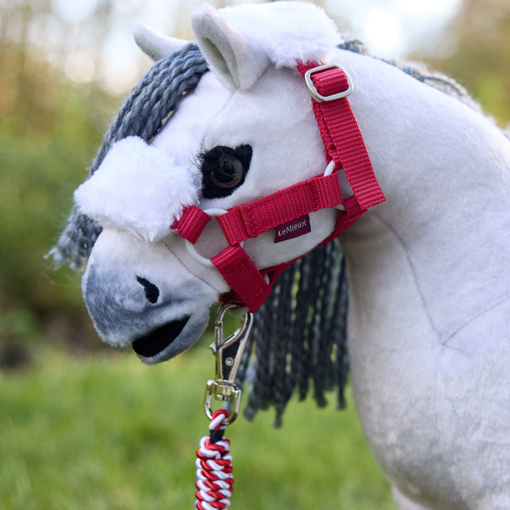 LeMieux Toy Pony Christmas Headcollar & Leadrope Set