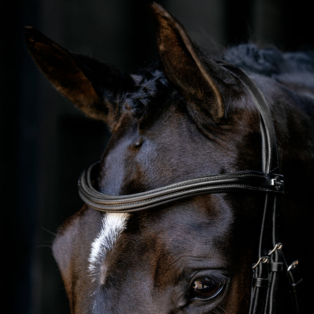 LeMieux Arika Cavesson Bridle