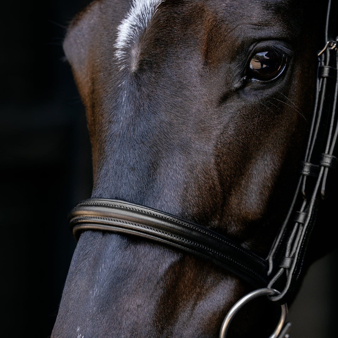 LeMieux Arika Cavesson Bridle
