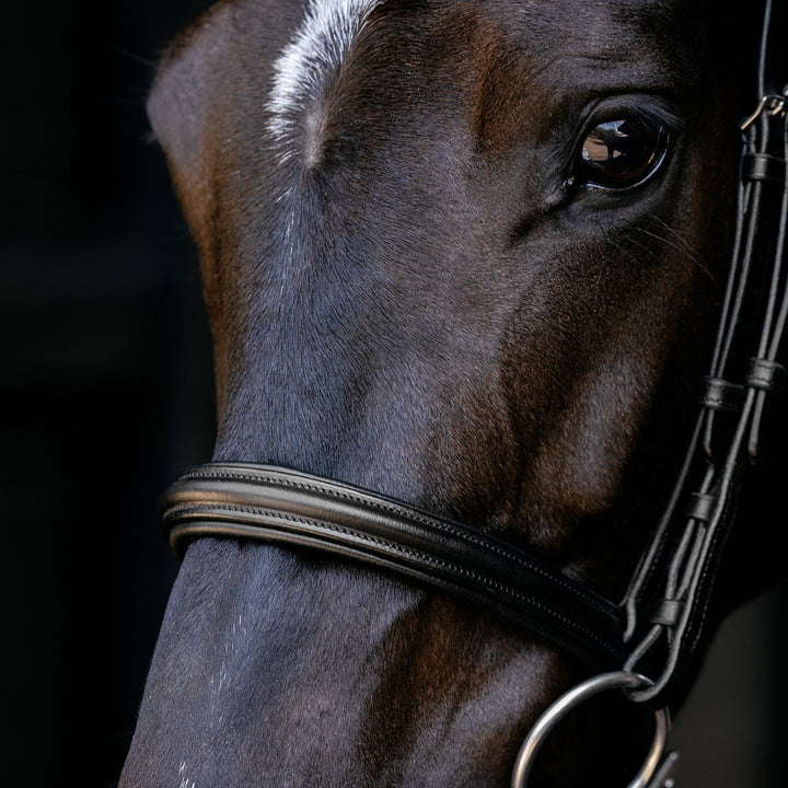 LeMieux Arika Cavesson Bridle