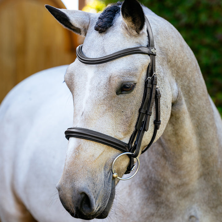 LeMieux Arika Cavesson Bridle