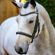 LeMieux Arika Cavesson Bridle
